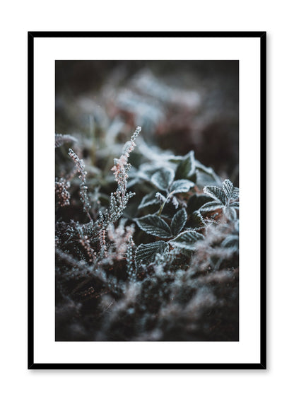 Winter Flowers, Poster