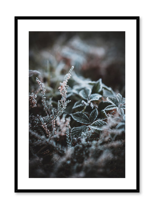 Winter Flowers, Poster