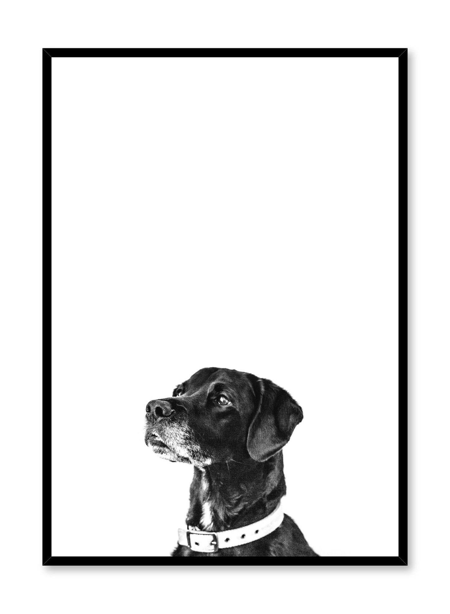 Man’s Best Friend, Poster
