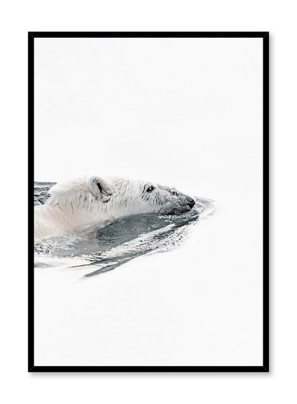 Polar Bear, Poster