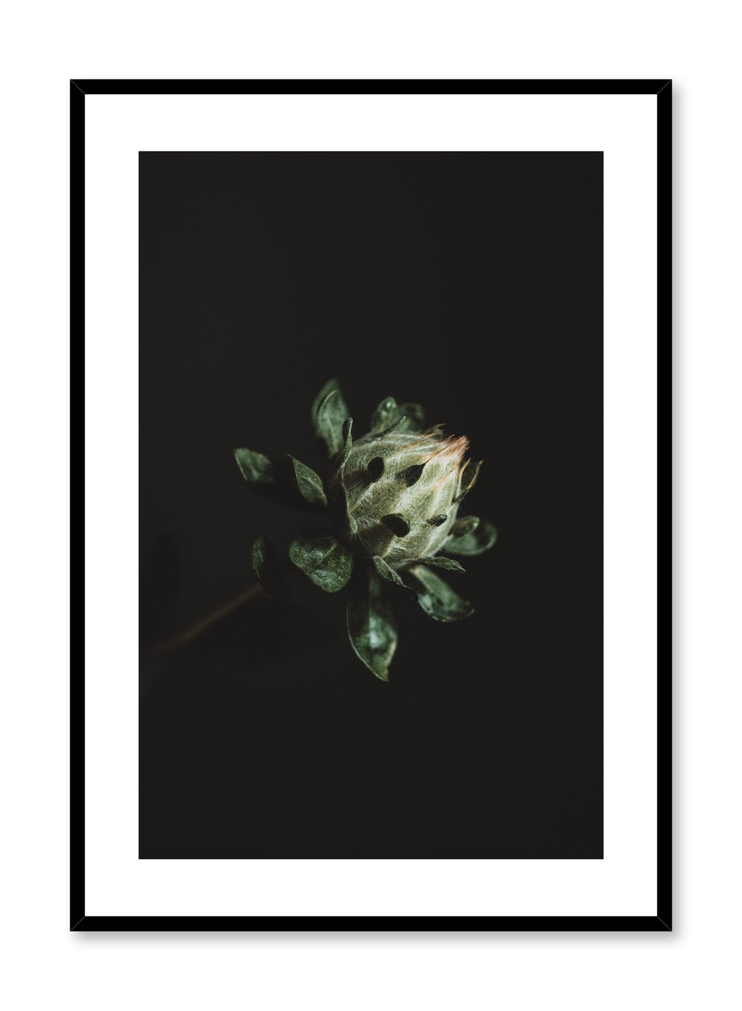 Blooming Plant, Poster