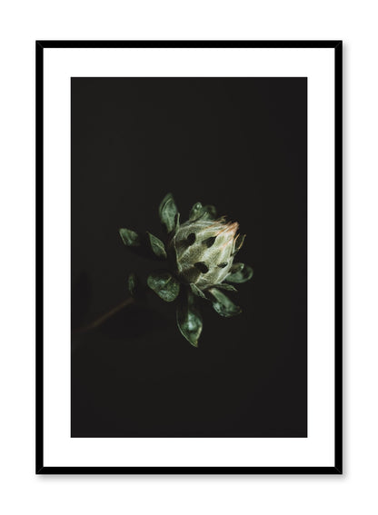 Blooming Plant, Poster