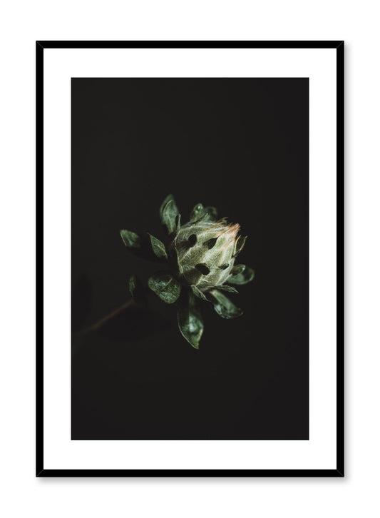 Blooming Plant, Poster