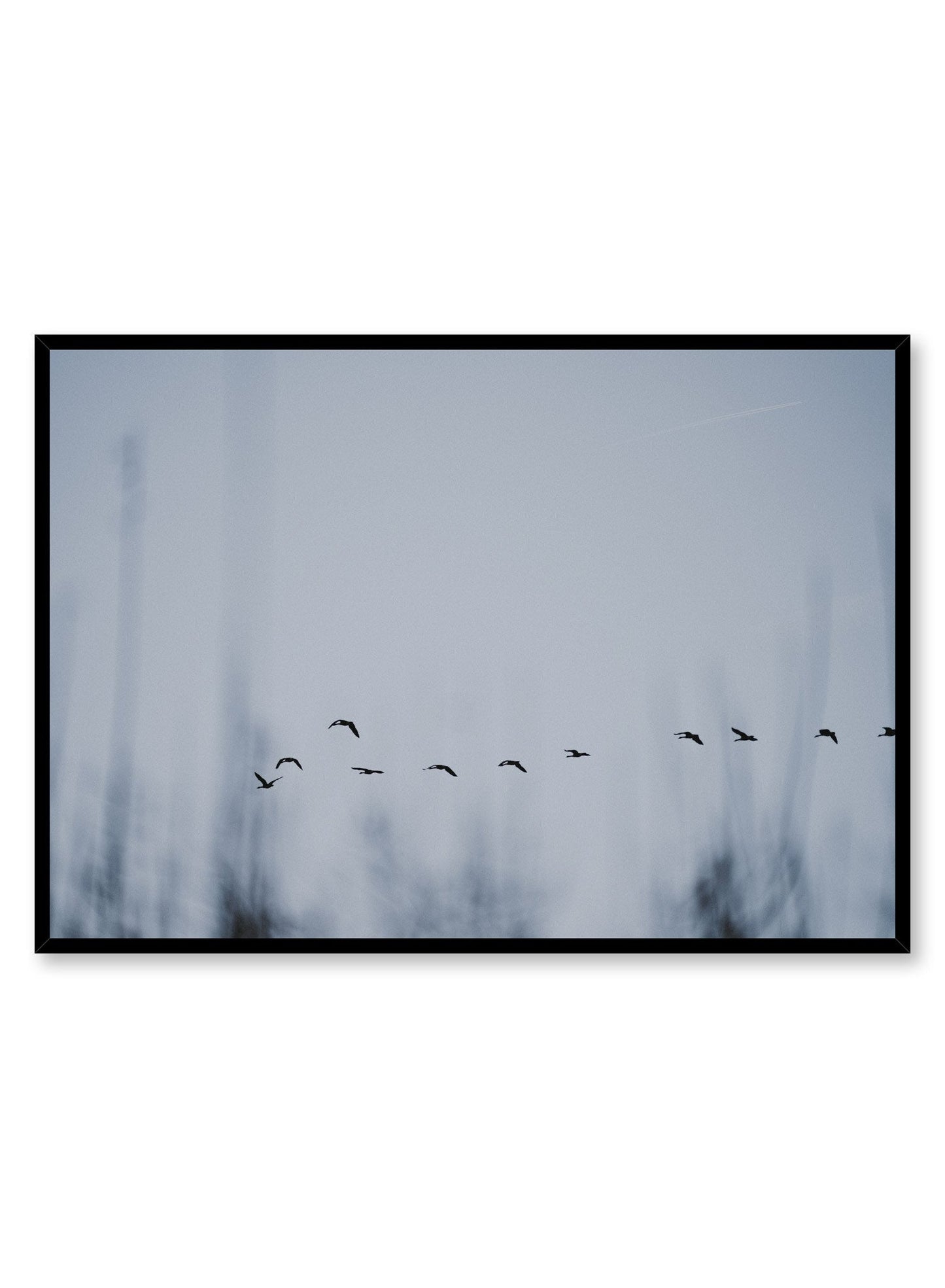Bird Formation, Poster