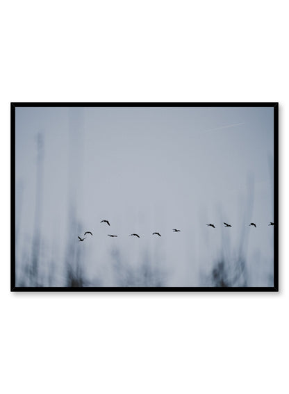 Bird Formation, Poster