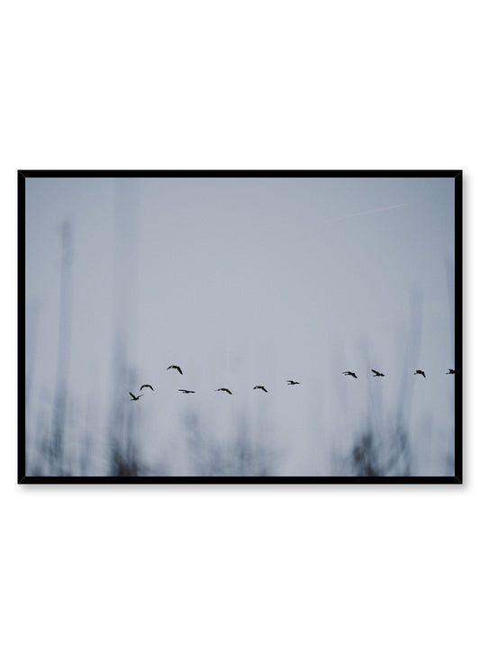 Bird Formation, Poster