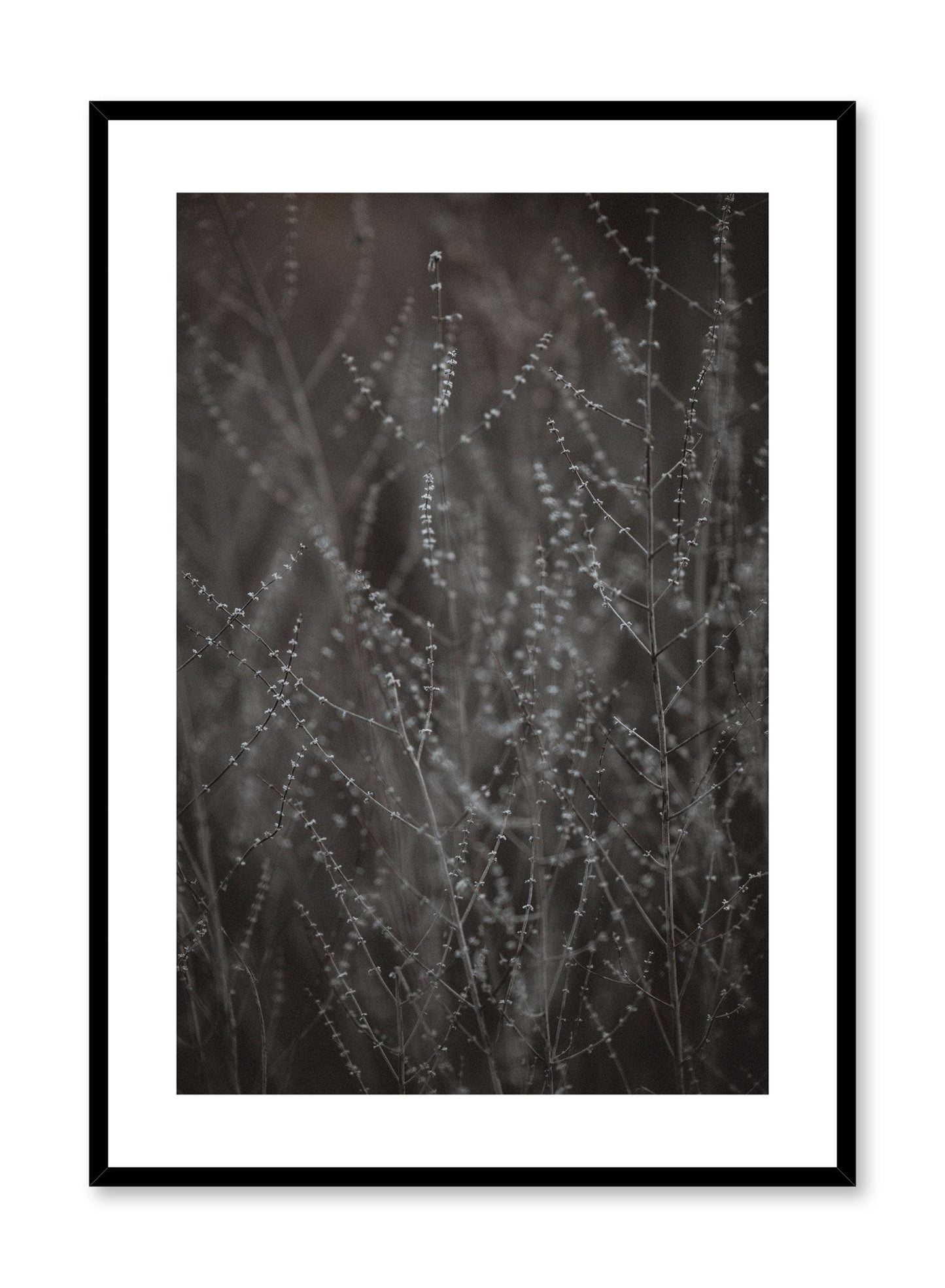 Budding Meadow, Poster