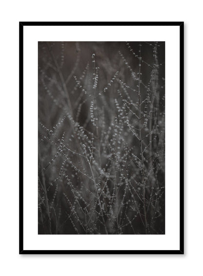 Budding Meadow, Poster
