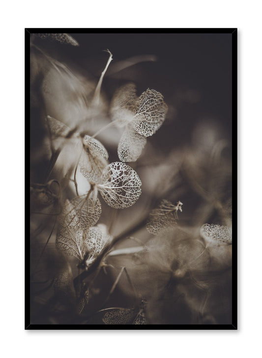 Hydrangea Detail, Poster