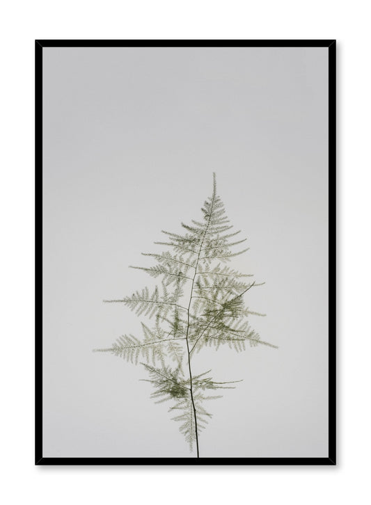 Young Fern, Poster
