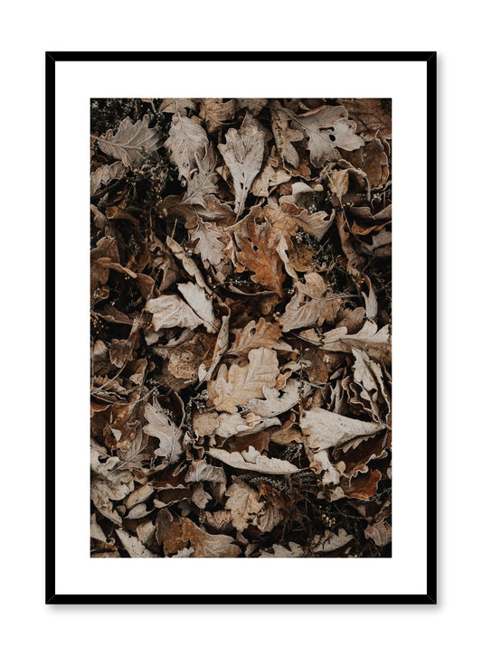 Autumn Leaves, Poster