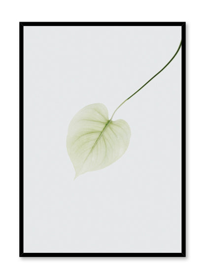 Pothos Leaf, Poster