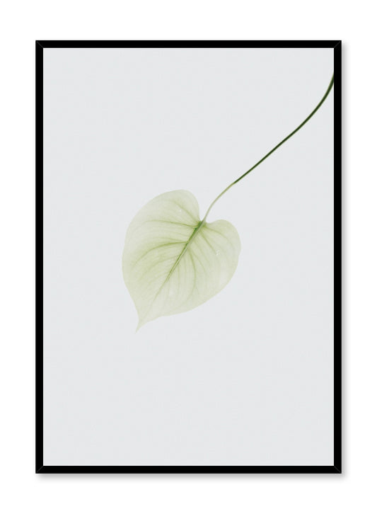 Pothos Leaf, Poster
