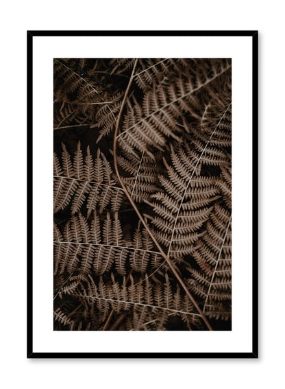 Fern, Poster