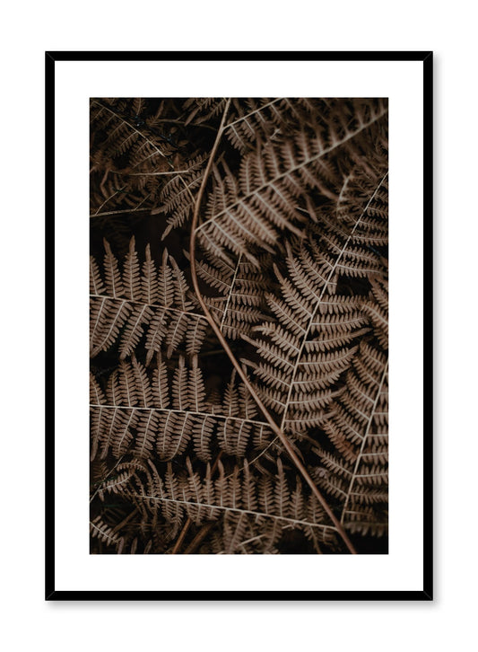 Fern, Poster