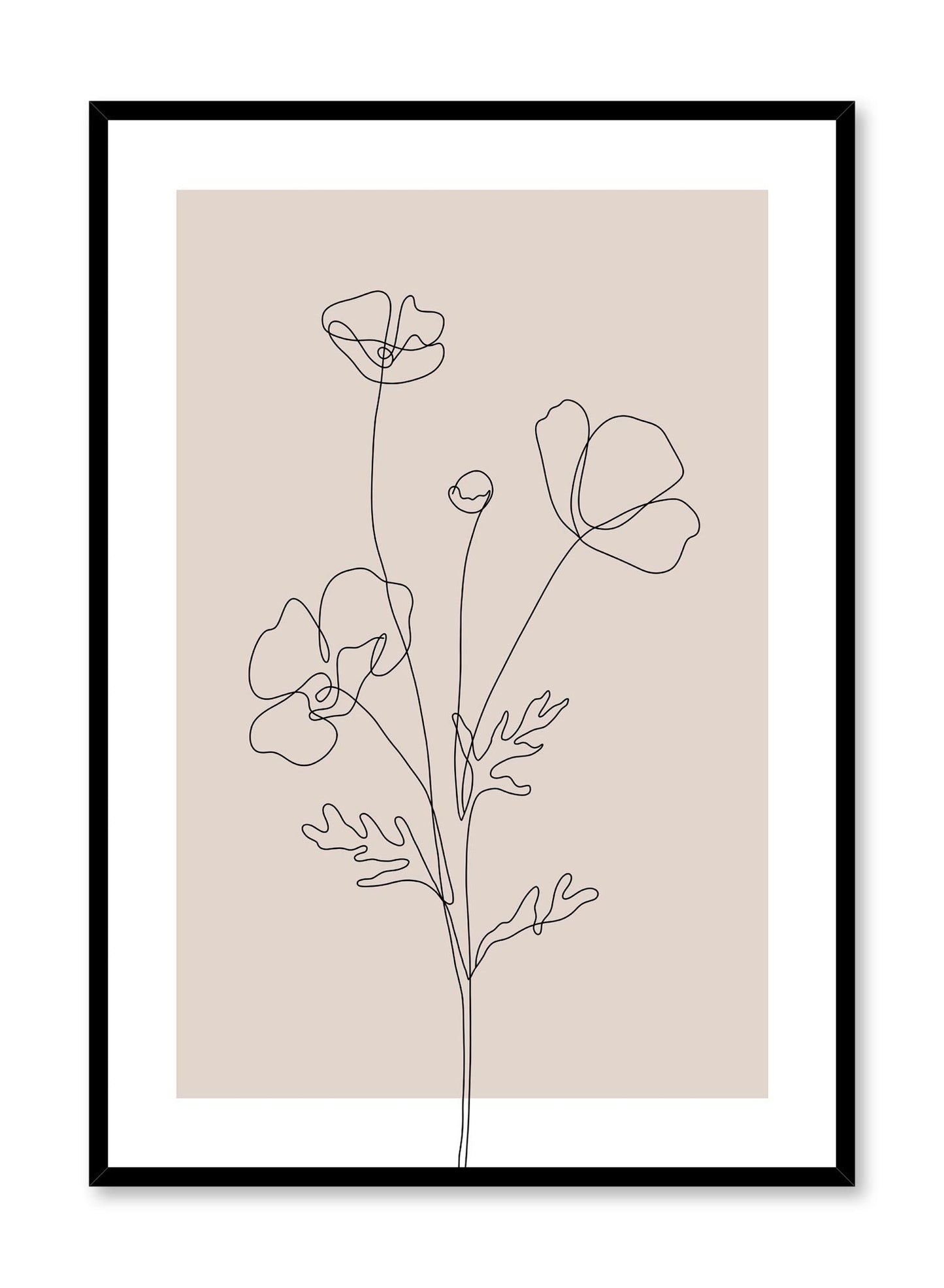 Poppy Sketch in Pink, Poster