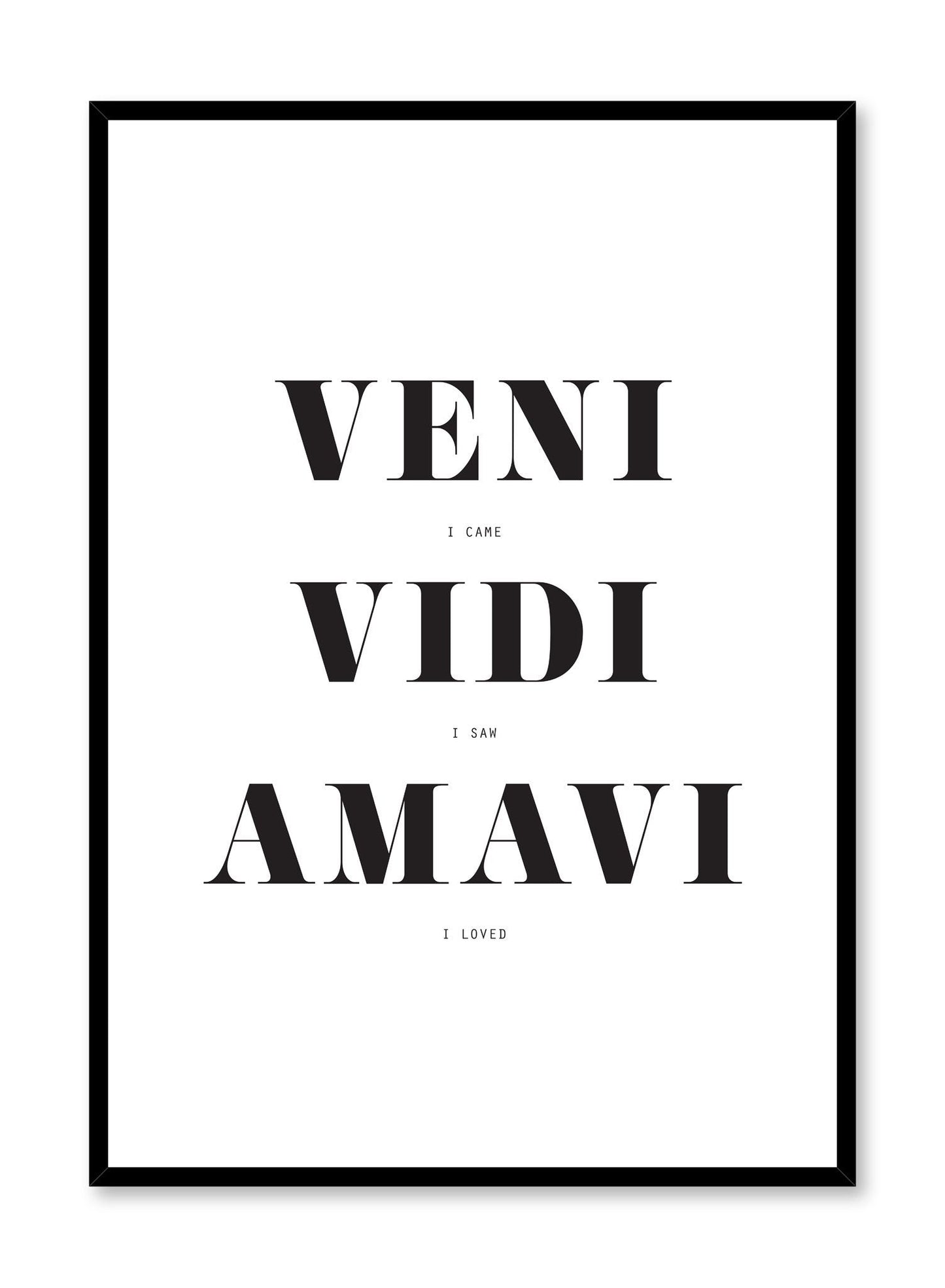 Veni Vidi Amavi, Poster