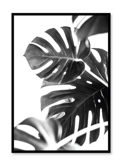 Wild Ways in Black, Poster