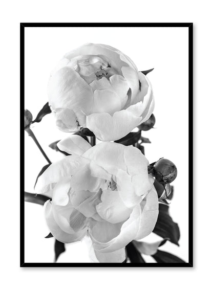 Lovers in Black and White, Poster