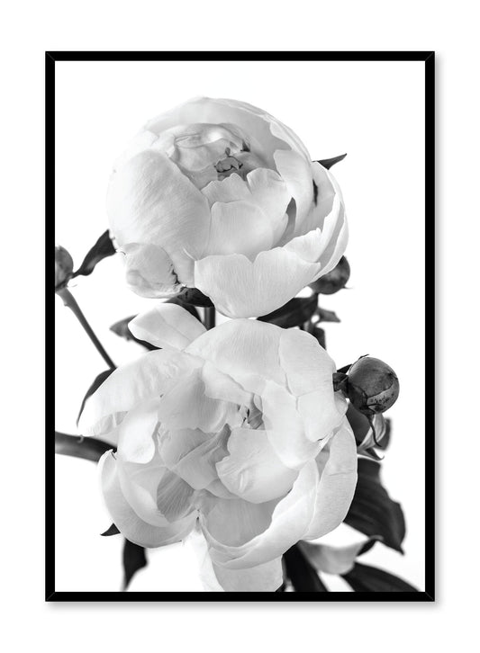 Lovers in Black and White, Poster