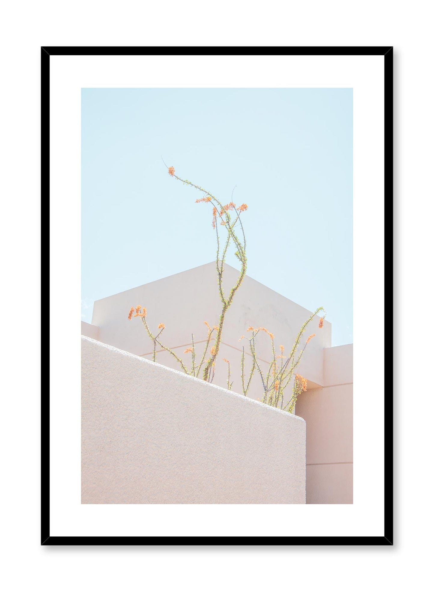Feathery Plants, Poster