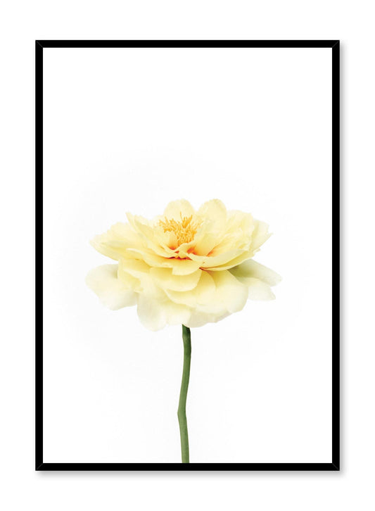 Petal Burst, Poster