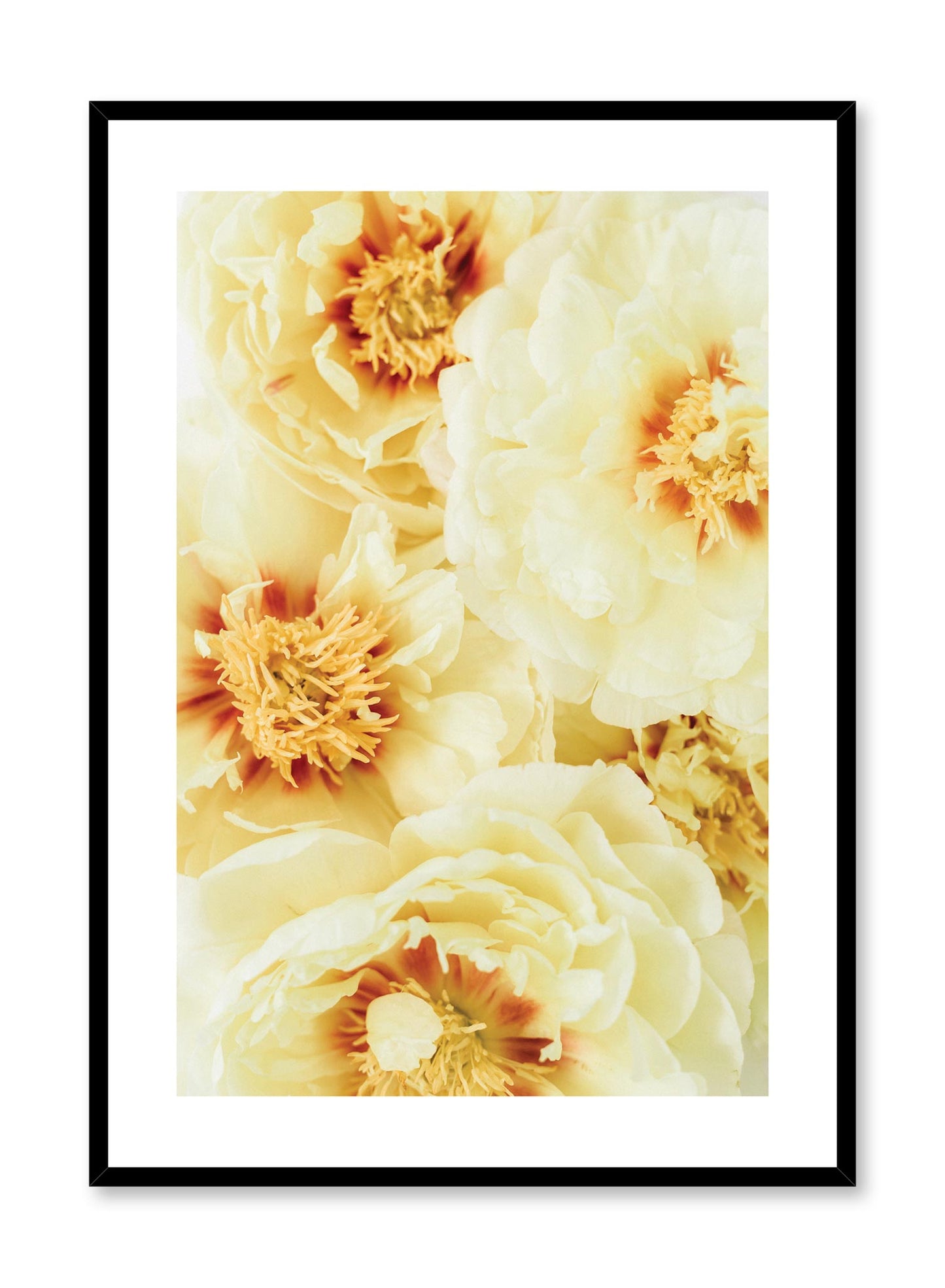 Sunburst, Poster