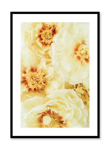 Sunburst, Poster
