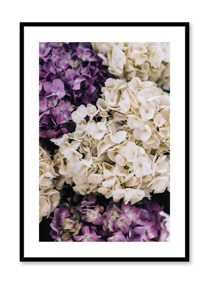 Purple Hydrangeas, Poster