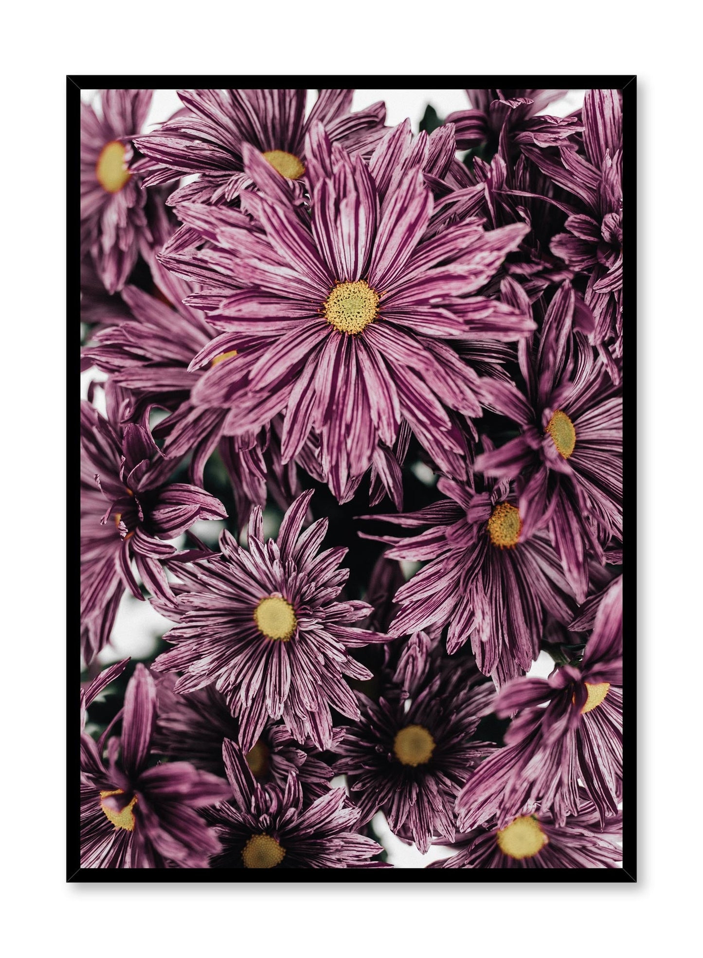 Mauve Blossoms, Poster