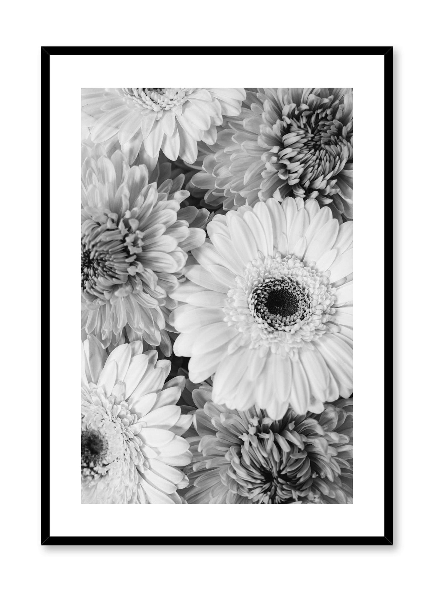 Bouquet of Gerberas, Poster