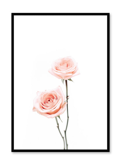 Pink Roses, Poster