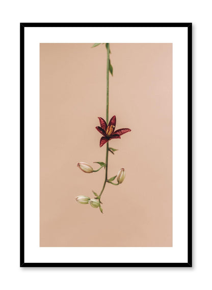 Flower Drop, Poster