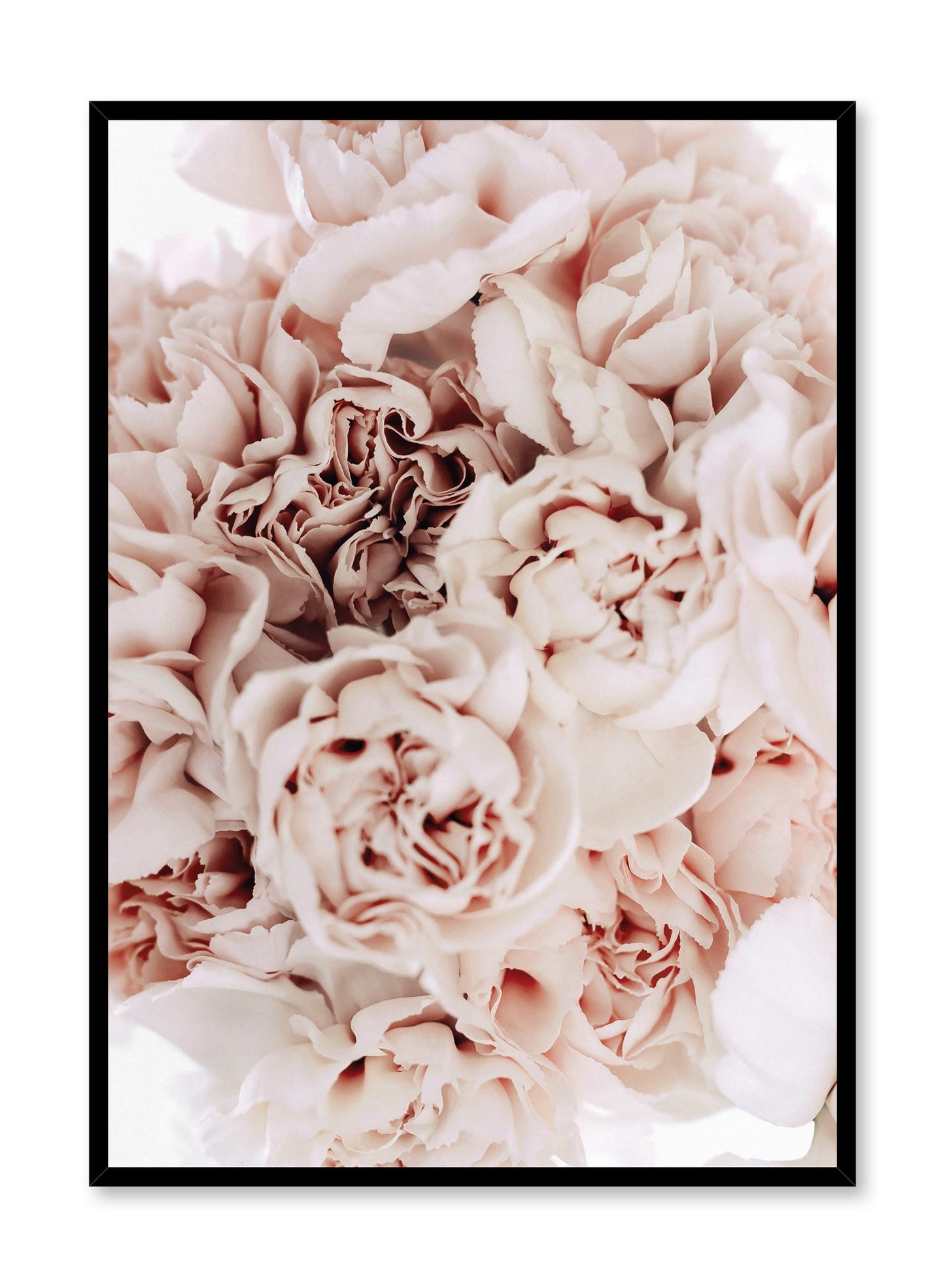 Bouquet of Carnations, Poster