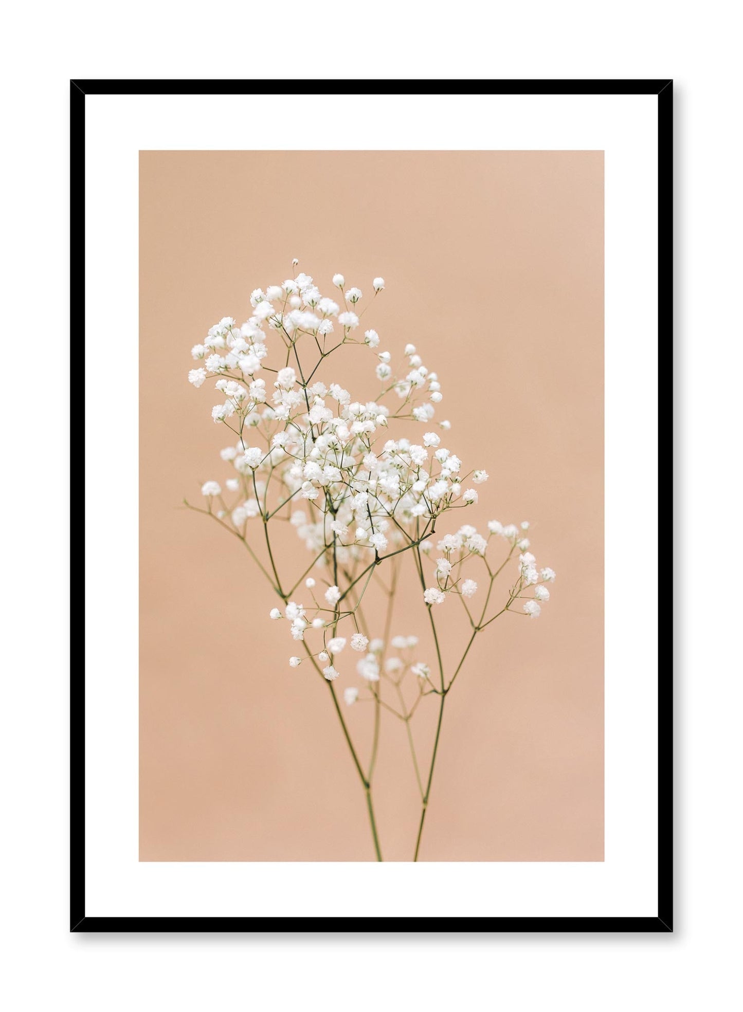 Baby's Breath, Poster