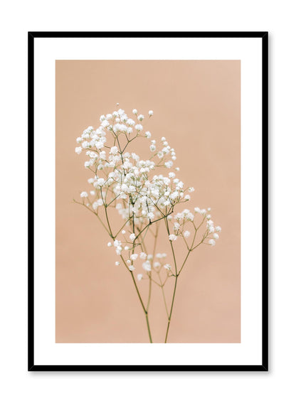 Baby's Breath, Poster