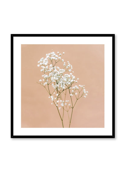 Baby's Breath, Poster