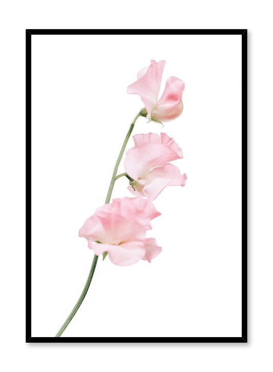 Silken Petals, Poster