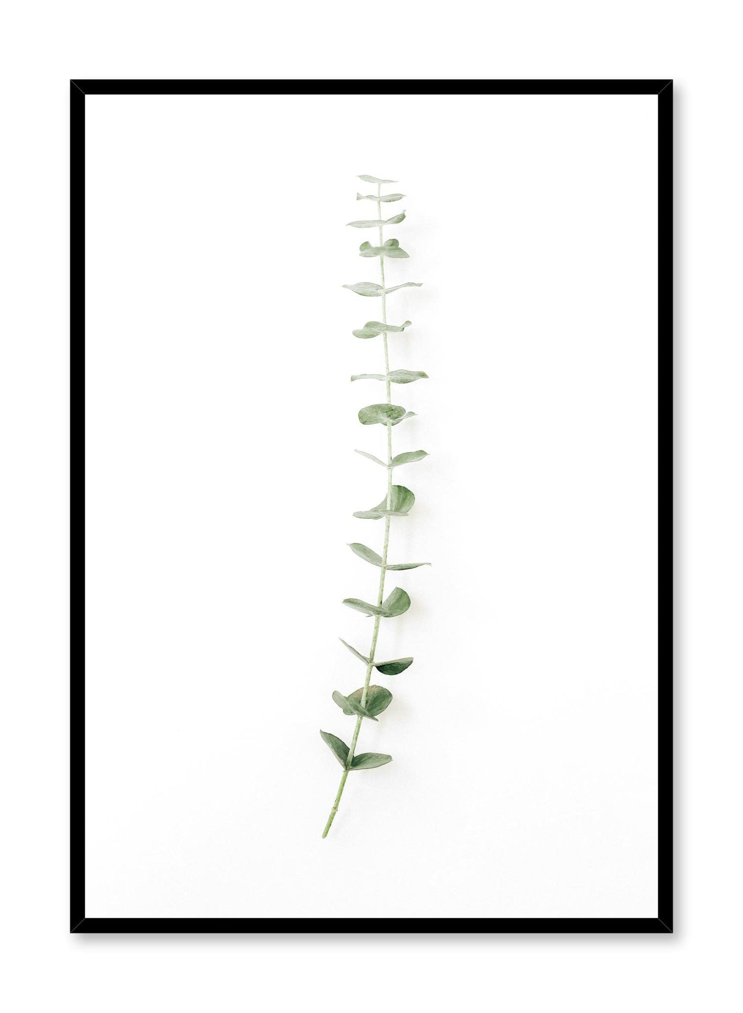 Classic Stem, Poster