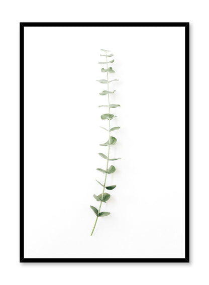 Classic Stem, Poster