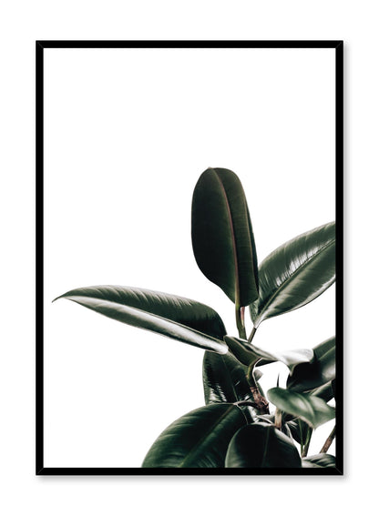 Rubber Tree, Poster