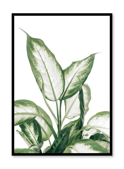 Leopard Lily, Poster