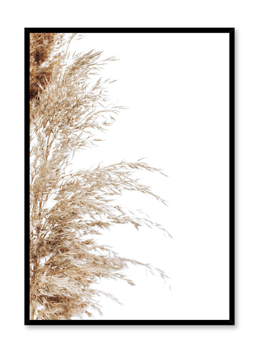 Wispy Grasses, Poster