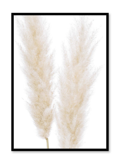 Ornamental Grasses, Poster