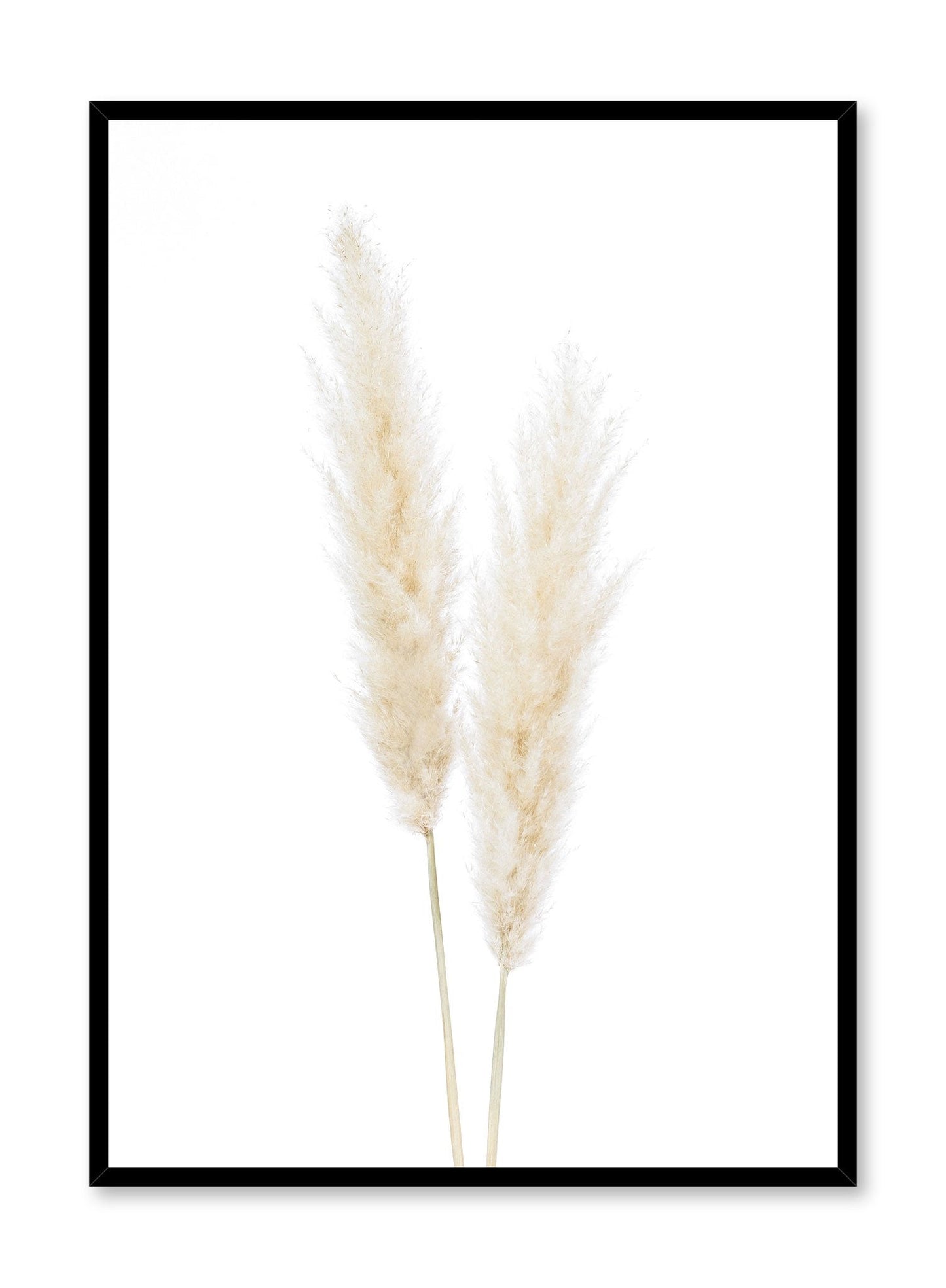 Grasses, Poster