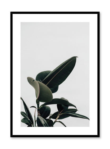 Rubber Tree Detail, Poster