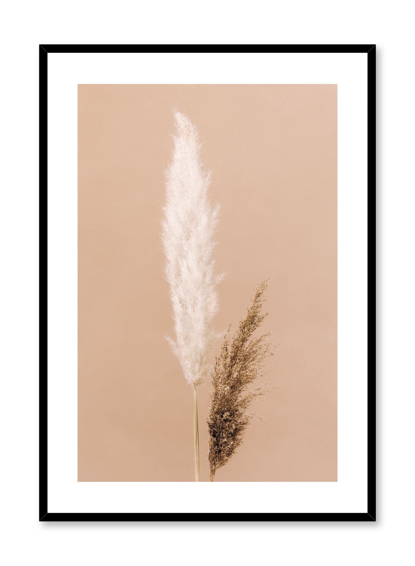 Two-Toned Grasses, Poster
