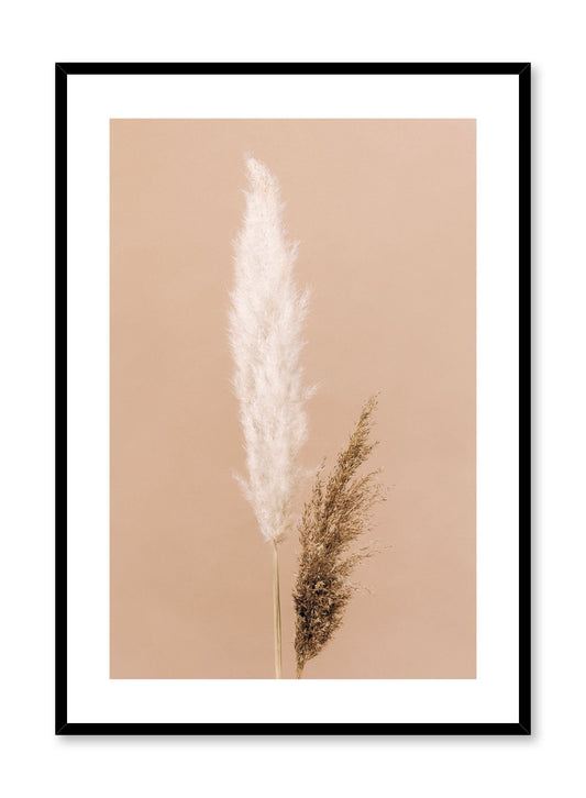Two-Toned Grasses, Poster