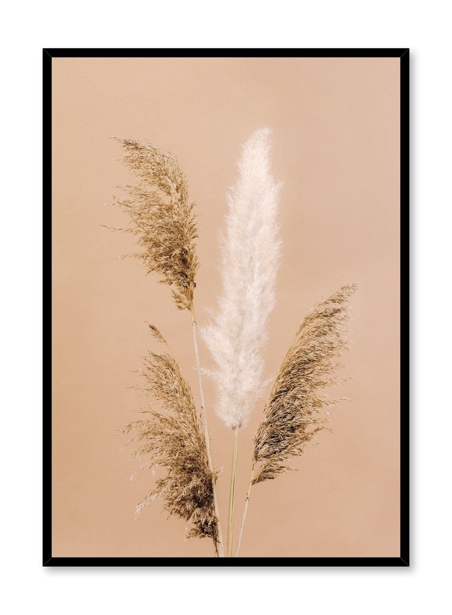 Gathering of Grasses, Poster