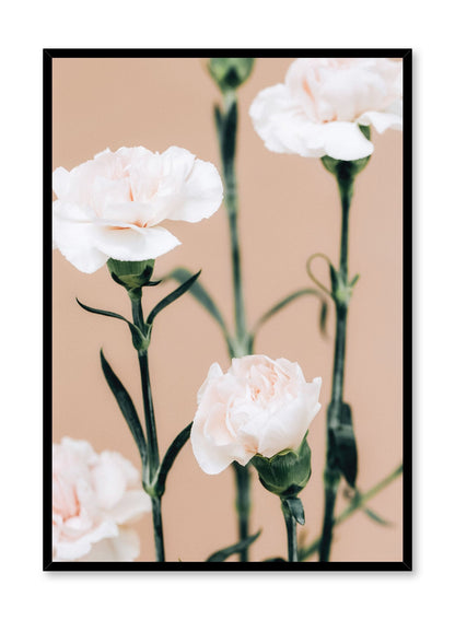 Pink Carnations, Poster